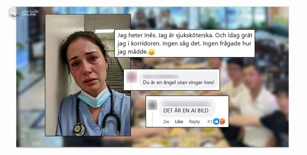 - Ảnh 1.