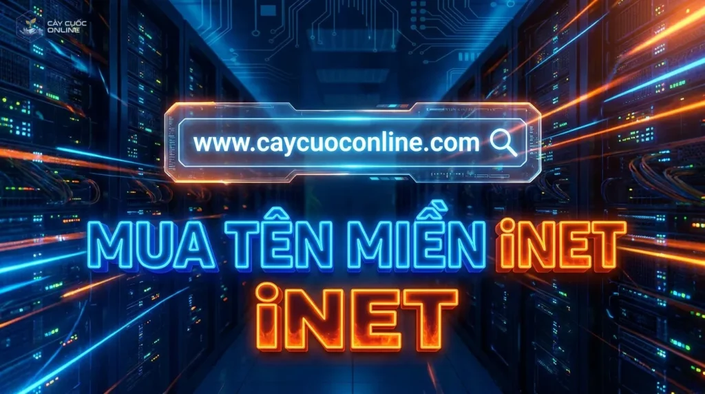 Hướng Dẫn Mua Tên Miền iNET Giá Rẻ