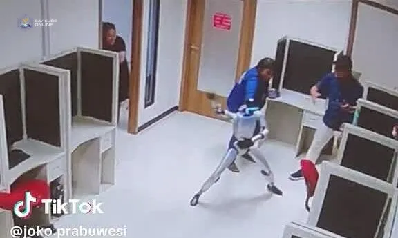 Robot hình người 'làm loạn' trong phòng thí nghiệm được dàn dựng