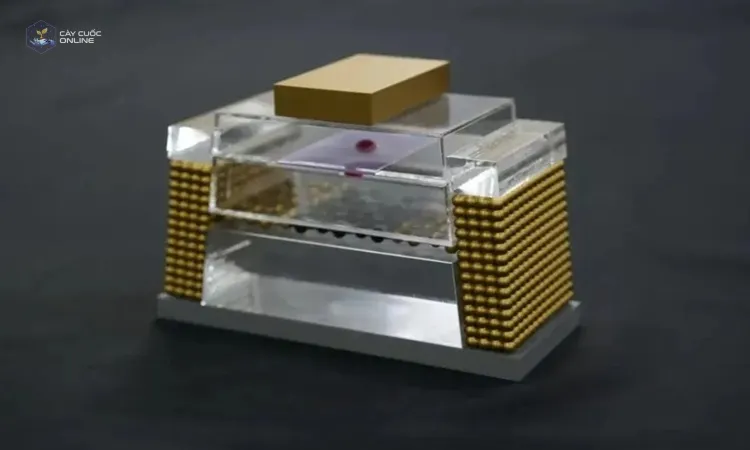 Chip nhớ flash với lớp graphene ngăn electron thoát ra. Ảnh: Science