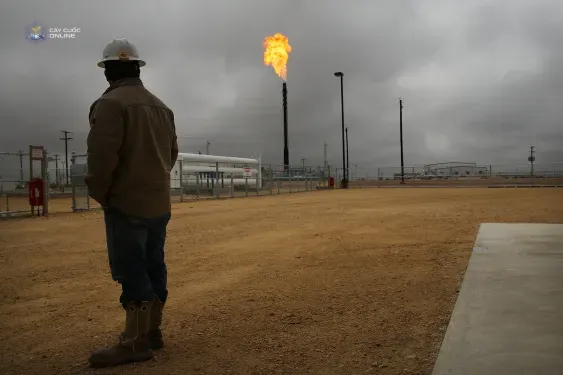 Flared natural gas is burned off at Apache Corporations operations at the Deadwood natural gas plant in the Permian Basin.
