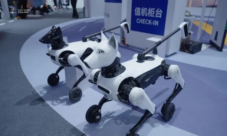 Robot Xiaoyuan có 4 chân gắn bánh xe. Ảnh: Yuanshan Zhixing Technology