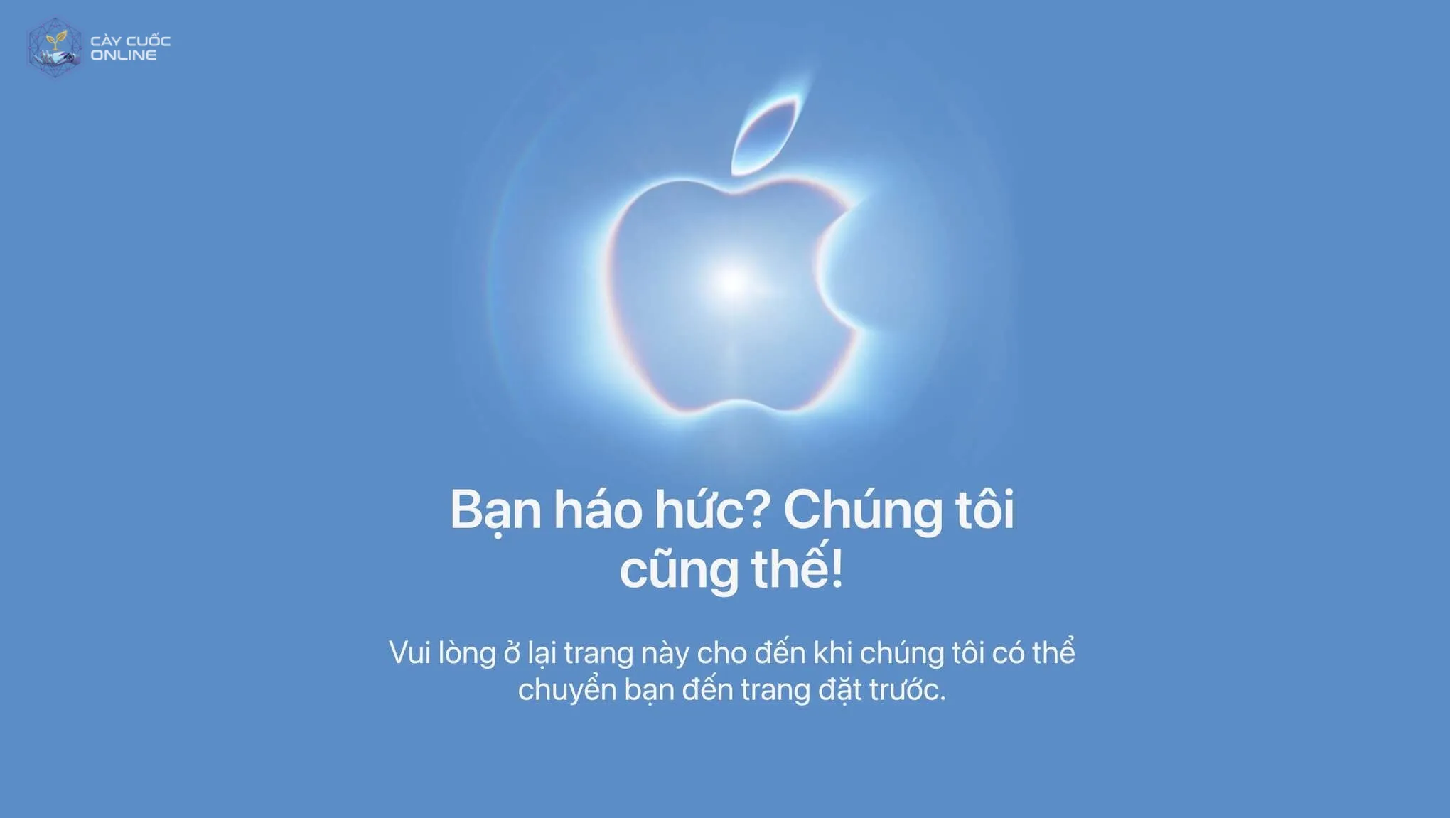 Apple Store Online Việt Nam khó truy cập trong 5 phút đầu mở bán.