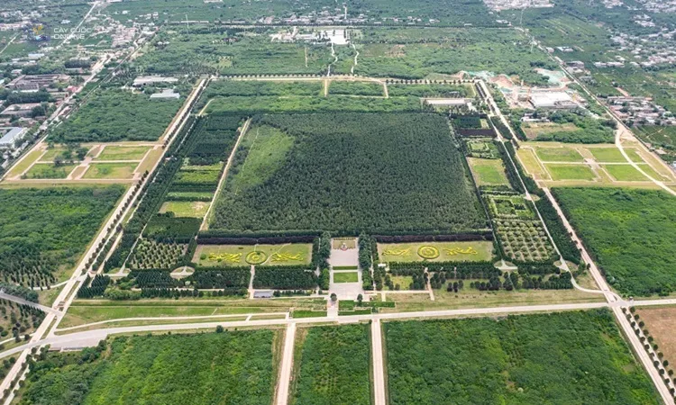 Di tích khảo cổ lăng mộ hoàng đế Tần Thủy Hoàng nhìn từ trên cao. Ảnh: China Daily